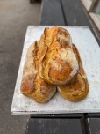 levain1 aroma