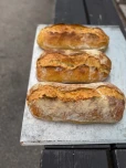levain aroma