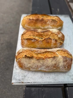levain aroma image