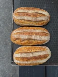 ruislevain