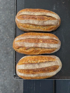ruislevain image