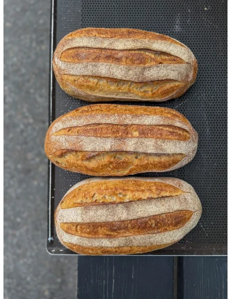 Ruislevain kuva