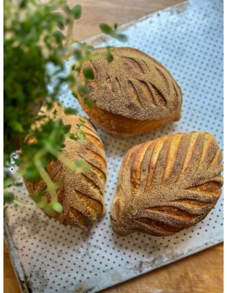 Citron & Timjan image
